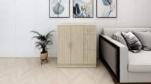 CARA Cabinet