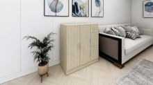 CARA Cabinet