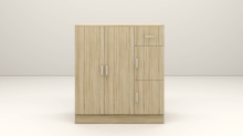 CARA Cabinet