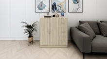 DUTCH Cabinet