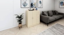 DUTCH Cabinet