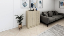 DUTCH Cabinet