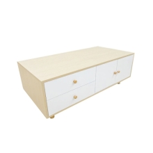 SHANE Coffee Table