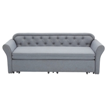 MCKENNA Fabric Sofabed with Storage